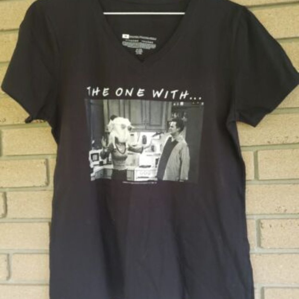 Friends - Chandler Bing - The One With - Black Womens V-Neck Tshirt Size: Medium